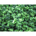 Nuevo cultivo IQF Frozen Broccoli Vegetales orgánicos Vegetales congelados